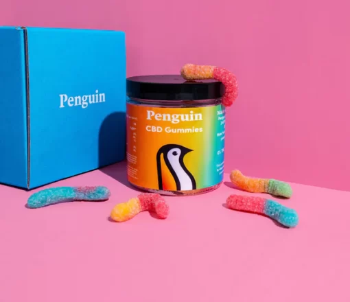 buy penguin cbd gummies